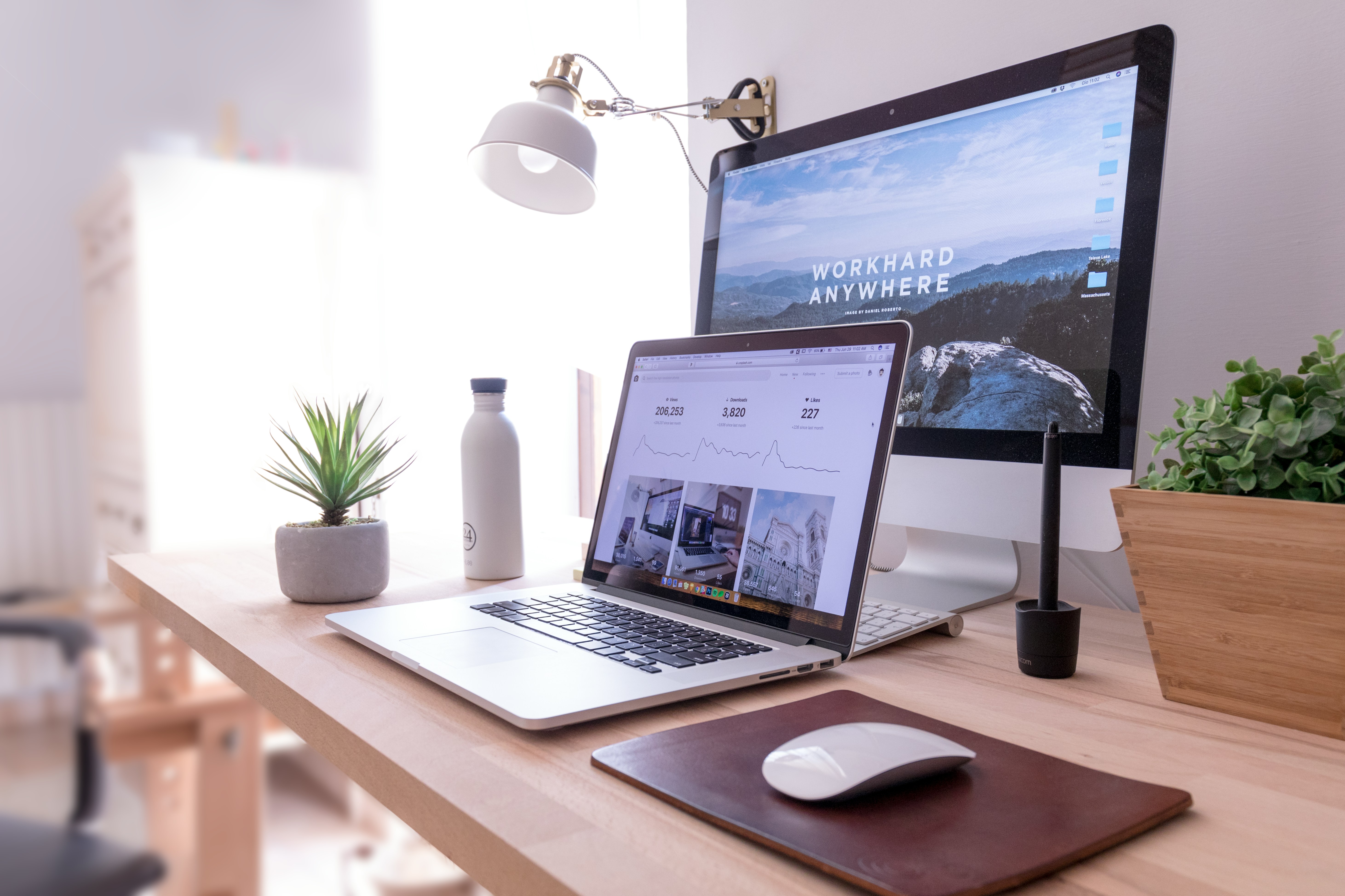 Website design case studies — Your Digital Support Hub